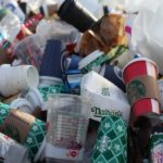Fast Food Packaging: Contributing to Plastic Pollution