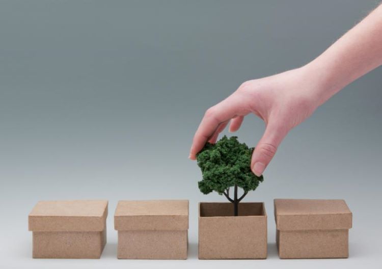 tree boxes image
